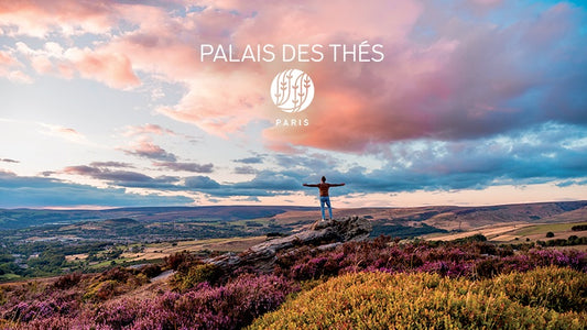 Nytt år, nye (te)muligheter