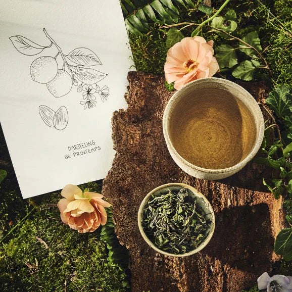 2025 Darjeeling 1.flush