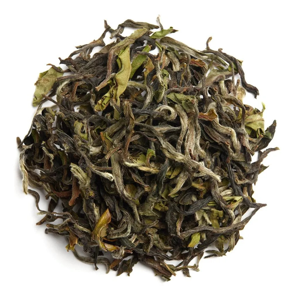 Annapurna Blossom - 2026 1st flush