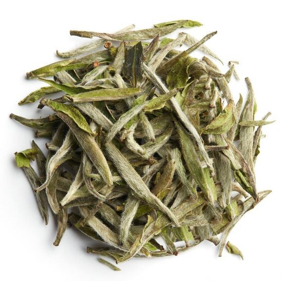 YIN ZHEN CÉLESTE