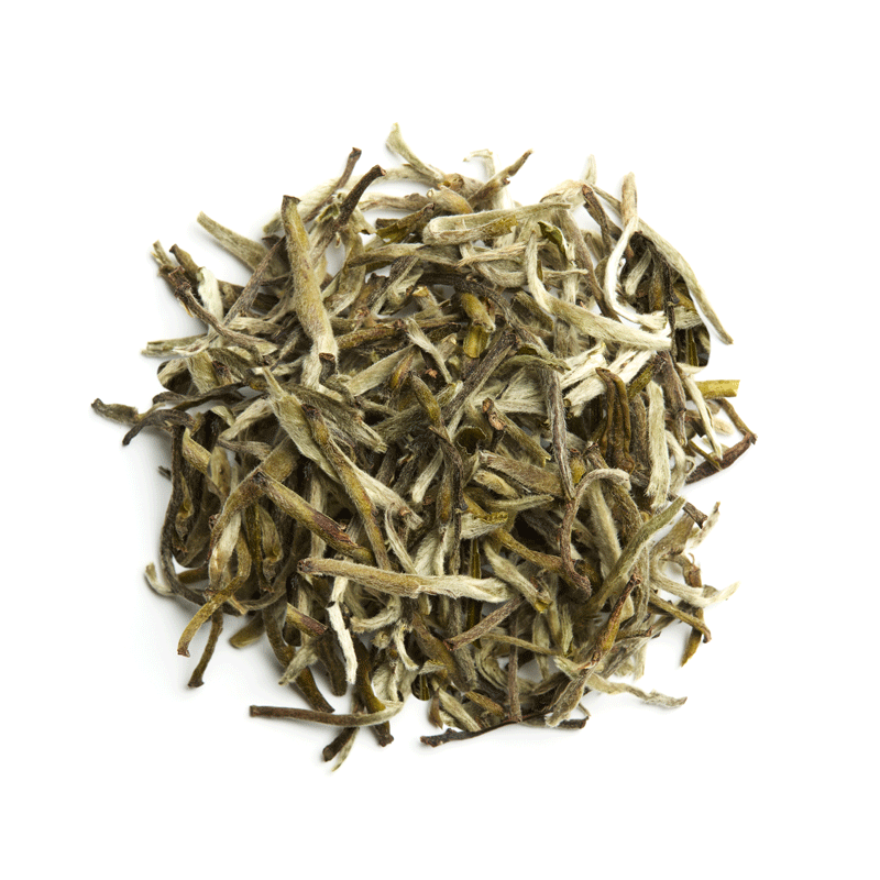 Arya Tara Silver Tips