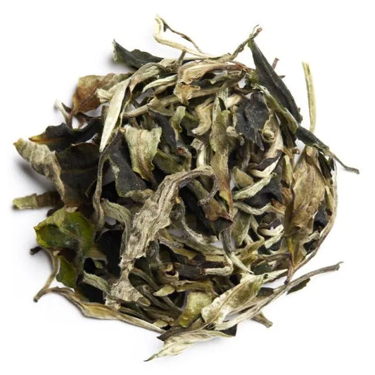 Spring Bai Mu Dan