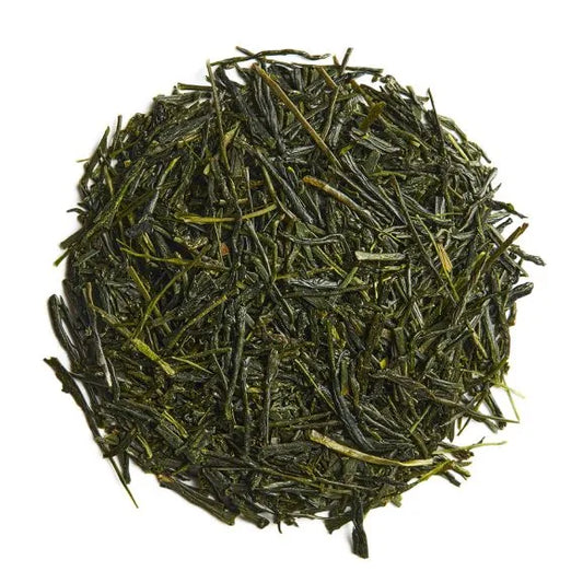 Yabukita Fuji